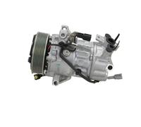 Compressore climatizzazione R 134a PAG 100 YF 090.575.036.000 BV PSH per RENAULT
