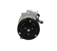 Compressore climatizzazione R 134a PAG 46 090.575.053.000 BV PSH per RENAULT