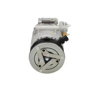Compressore climatizzazione R 134a PAG 46 090.595.013.020 BV PSH per FORD MAZDA