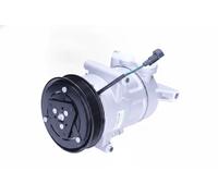 Compressore climatizzazione R 134a PAG 46 090.595.094.876 BV PSH per FORD