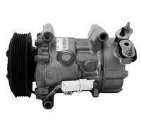 Compressore climatizzazione R 134a PAG 46 10-0969 Airstal per CITROËN