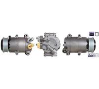 DRI 700510900 Compressore aria condizionata