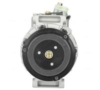 Compressore Climatizzatore per Mercedes-Benz Modello T S211 S212 W211