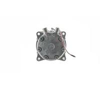 Compressore climatizzazione R 134a PAG 46 ACP 992 000S MAHLE per LOTUS ESPRIT S3