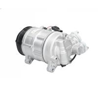 Compressore climatizzazione R 134a PAG 46 SP-A2 090.455.030.874 BV PSH per BMW