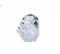 Compressore climatizzazione R 134a PAG 46 YF 090.595.002.876 BV PSH per FORD
