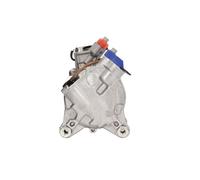 Compressore climatizzazione R 134a PAG 46 DCP05106 DENSO per BMW 2 Coupé 1