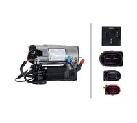 Compressore Impianto Aria 12 V con Tergitore HELLA per Audi A8