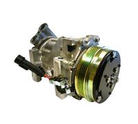 Compressore Per Aria Condizionata Per Fabbricante Sanden 504384357