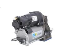 Compressore, sistema ad aria compressa BILSTEIN 10-255636 per CLASSE R 3 2009-