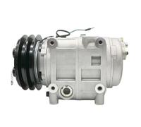 Compressore TM31 24v/12v 2pk Dks32c compatibile per il compressore del condizionamento d'aria CA Nissan Mini Bus(24V)