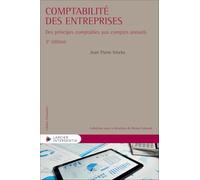 Comptabilité des entreprises: Des principes comptables aux comptes annuels