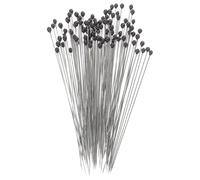 COMPUKAS Kit da 100 Perni in Acciaio Inossidabile per Montaggio e Fissaggio Campioni di Insetti, Set di Strumenti per Entomologia Spilli per Esposizione Stabile e Uso Scientifico