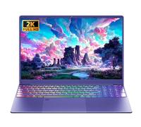 Computer portatile da 16 pollici viola 12G LPDDR5 RAM 1TB NVMe SSD Alder Lake N95 CPU, 2K FHD (1920 * 1200) schermo IPS, retroilluminato a colori KB/impronte digitali/PC Win 11 Pro per studio di