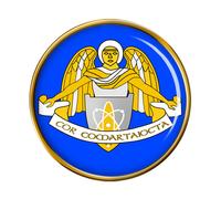 Comunicazione E Informazioni Servizi Sanità Irlandese Difesa Forze Spilla