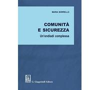 Comunità e sicurezza. Un'endiadi complessa