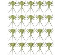 con mosca per trote, esche - Legando la mosca realistica 20x, componenti del corpo della NINFA, esca di Trota legata a mano, assortimento di con mosca per spigola, trota, acqua salata