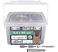 CON:P B30251 - Secchio contenente 240 viti per terrazze, 5 x 60 mm