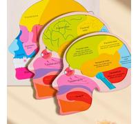 con parti del, con umano, con umano per bambini 3-5 | Impara giochi creativi realistici realistici per lo studio forense scientifico della classe di laboratorio