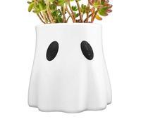 Con un vaso Ghost Bucket, un raccapricciante espositore felce e un tocco dolce, questa fioriera fantasma è un fulcro per la semplice statua di mobilità, l'appartamento da tavolo fiorista