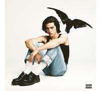 Conan Gray - Kid Krow (Smoky Gray Coloured) (LP)