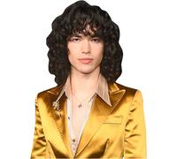 Conan Lee Gray (Suit) Half Body Buddy Cutout