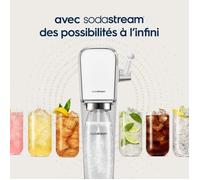 Concentrés SODASTREAM - Lot de 6 concentrés Menthe sans sucres - Jusqu'a 54L de boissons - 440 ml