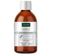 Concentrato Liquido Colesterolo 500 Ml