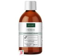 CONCENTRATO LIQUIDO COLESTEROLO 500 ML