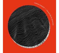 Dorian Concept The Nature of Imitation (Vinyl LP) 12" Album