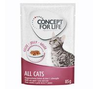 Concept for Life Indoor Cats - ricetta migliorata! - umido a completamento: 12 x 85 g Concept for Life All Cats in Gelatina