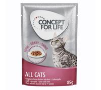 Concept for Life All Cats - in salsa - 12 x 85 g