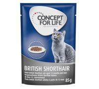 Concept for Life British Shorthair Adult (a base di pregiato ragù) - Set %: 48 x 85 g