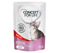 Prezzo speciale! 12 x 85 g Concept for Life Umido senza cereali per gatto - Kitten Manzo in gelatina