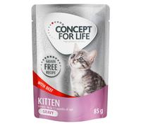 Prezzo speciale! 12 x 85 g Concept for Life Umido senza cereali per gatto - Kitten Manzo in salsa