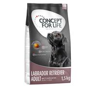 Concept for Life Labrador Retriever Adult Crocchette per cani - 6 kg (4 x 1,5 kg)