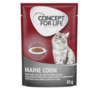 Concept for Life Maine Coon Adult (a base di pregiato ragù) - 12 x 85 g