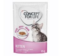 Concept for Life Maine Coon Kitten - ricetta migliorata! - umido a completamento: 12 x 85 g Concept for Life Kitten in Gelatina