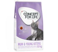 Concept for Life Mum & Young Kittens - ricetta migliorata! - 10 kg