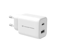 Conceptronic ALTHEA11W - Caricatore PPS USB a 2 porte, 33 W, QC 3.0, compatibile