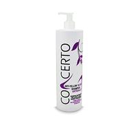 CONCERTO Anti-Yellow Silver Shampoo Antigiallo 1000ml