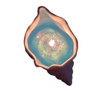 Conch Aromaterapia Candela Fragranza Shell Handmade Wind Ocean Jelly Candela Regalo Compleanno Atmosfera Star Compa T6V1