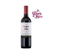 CONCHA Y TORO CASILLERO DEL DIABLO RESERVA CABERNET SAUVIGNON 2015 VINO ROSSO