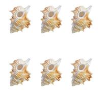 Conchiglia, Confezione da 6 decorazioni nuziali, feste a tema spiaggia