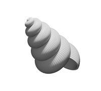 Conchiglia Marina Decorativa Stampata 3D Personalizzabile Modello Oceano