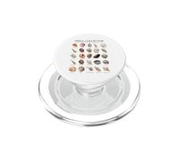 Conchiglie comuni del mondo dell'arte vintage di Shell Collector PopSockets PopGrip per MagSafe