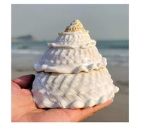 conchiglie， Decorazioni for la casa, accessori for feste e matrimoni da 9-12 cm(9~10cm)