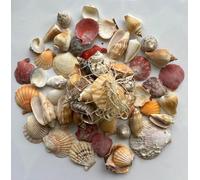 Conchiglie di Mare, conchiglia da spiaggia,400 gr. circa, prodotto naturale, ogni confezione è diversa dall'altra,il peso rimane,ma possono cambiare le tipologie e le dimensioni delle conchiglie.