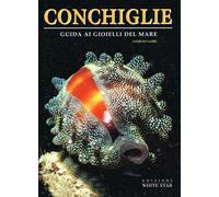 Conchiglie. Guida ai gioielli del mare. Ediz. illustrata