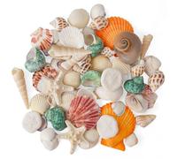 Conchiglie marine miste da spiaggia, 12 tipi, varie dimensioni, conchiglie naturali per feste in spiaggia fai da te per riempire vasi di pesci